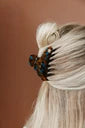 Tortoise Teal Midi Claw Clip